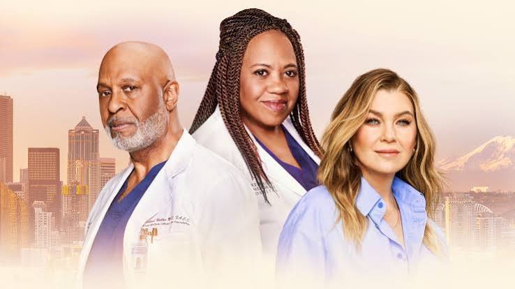 Greys Anatomy Staffel 22: Alle Infos Zu Start Und Story